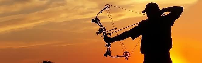 Twin Coast Archers